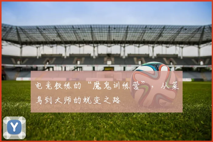 电竞教练的“魔鬼训练营”，从菜鸟到大师的蜕变之路