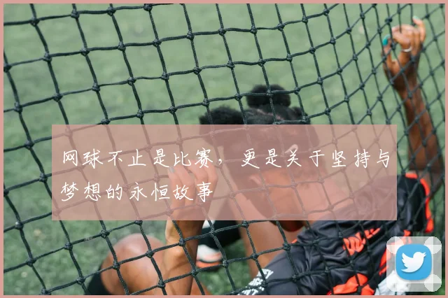 网球不止是比赛,更是关于坚持与梦想的永恒故事
