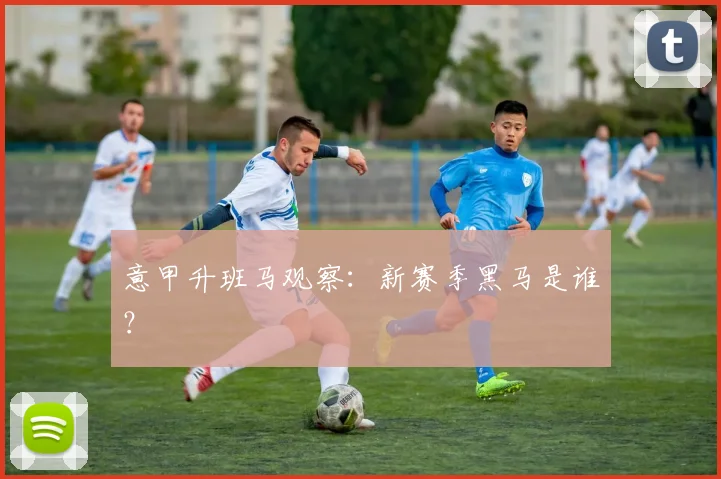 意甲升班马观察：新赛季黑马是谁？